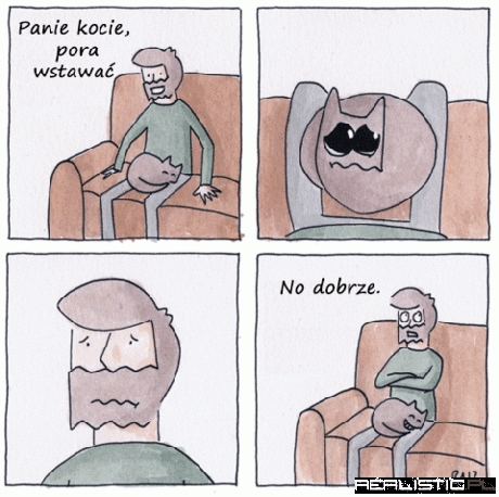 Panie kocie