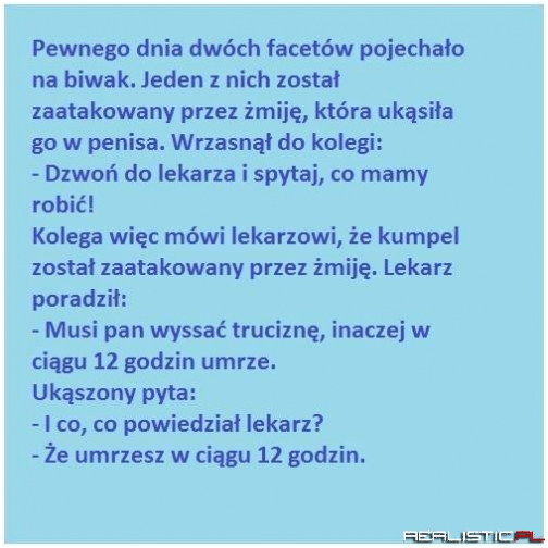 Pewnego dnia dwóch facetów .....