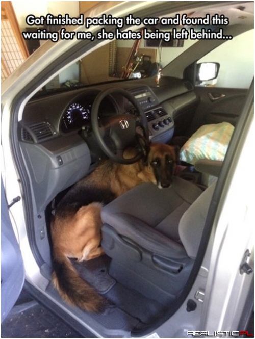 Please Bring Me! I Can Drive!
