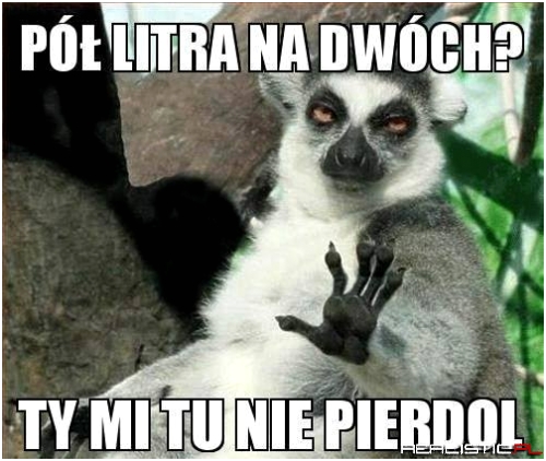 Pół litra na dwóch