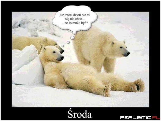 roda ....