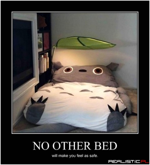 Safe bed