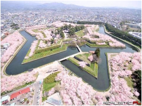 Sakura full bloom in Goryokaku, Hakodate