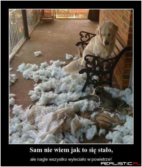 Sam nie wiem jak to się stało ...