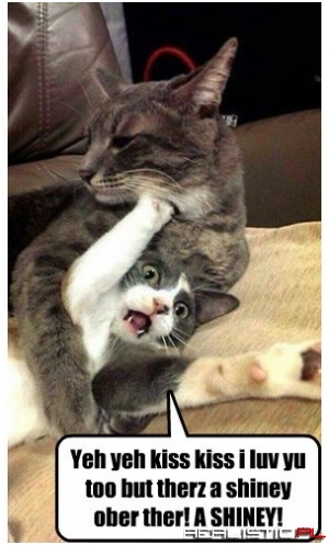 Shiny Trumps Kiss Kisses!