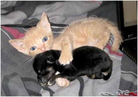 So cute