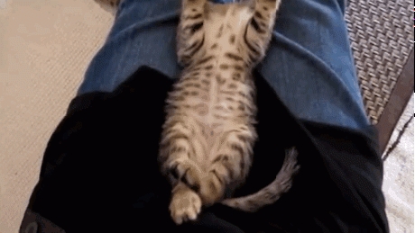 Stretching is Important