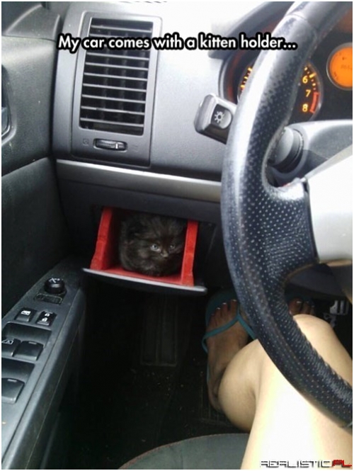 That Must Be a Cat-illac