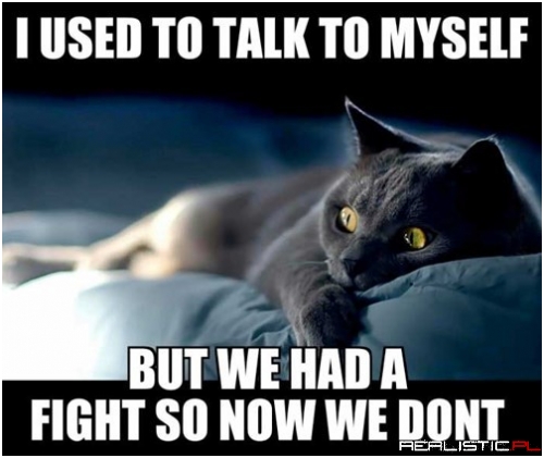 That Was One Crazy Fight