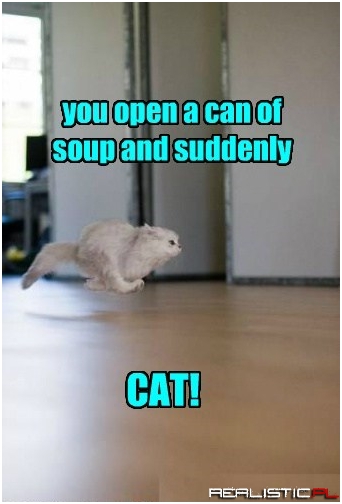 That's A Food Noise!!