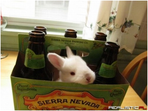 That's a Lot of Hops in Your Beer