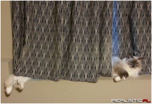 That's What I Call a Long Nap