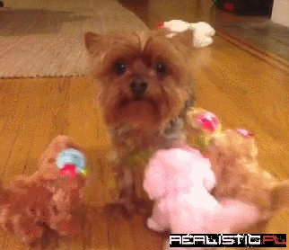 The Face of Pure Terror