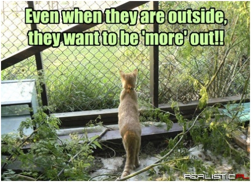 The Grass is Always Greener