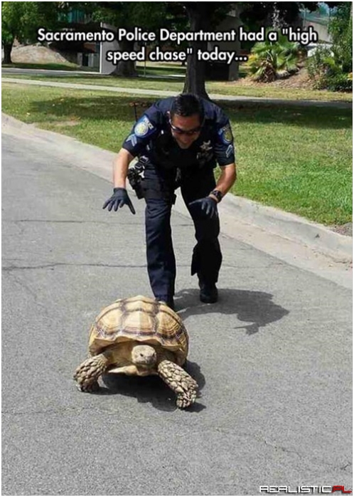 The Had a Shell of a Time Catching Up to Him