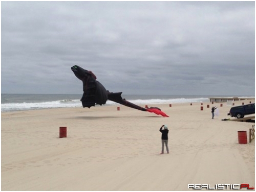 The Nicest Dragon-Kite on the Beach