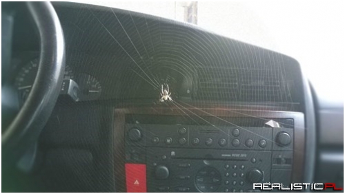 The Only Recourse is Fire, Sorry Car