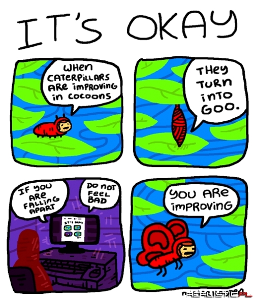The Zen of Caterpillars