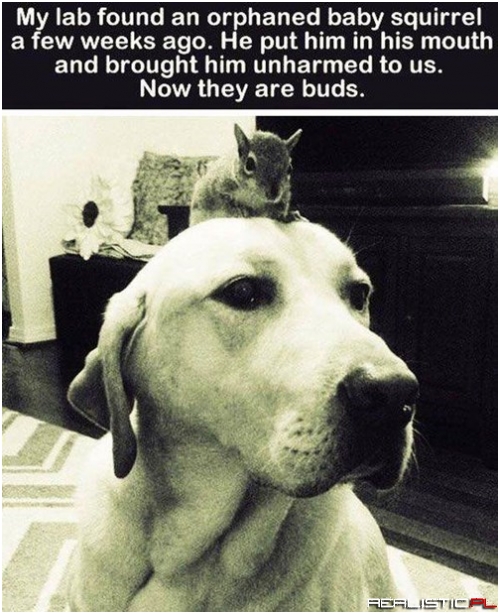 They're Nuts for Each Other