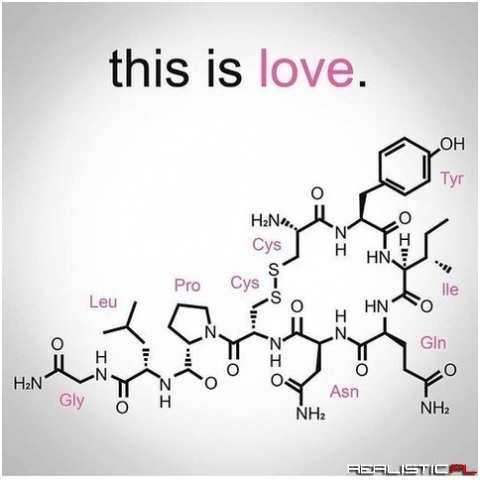 This is love