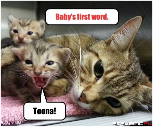 Those little tykes sure learn fast!