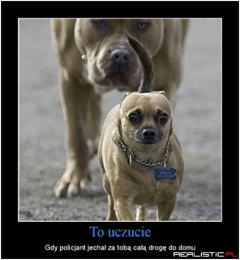 To uczucie ...
