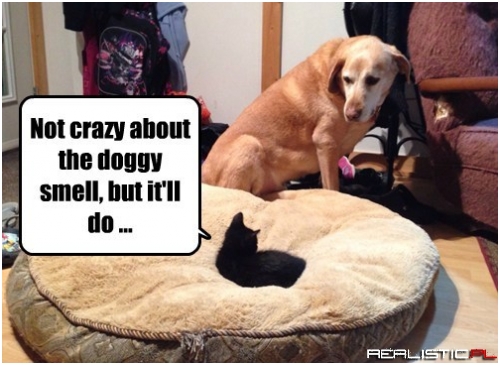 Um...It's Not for Sale