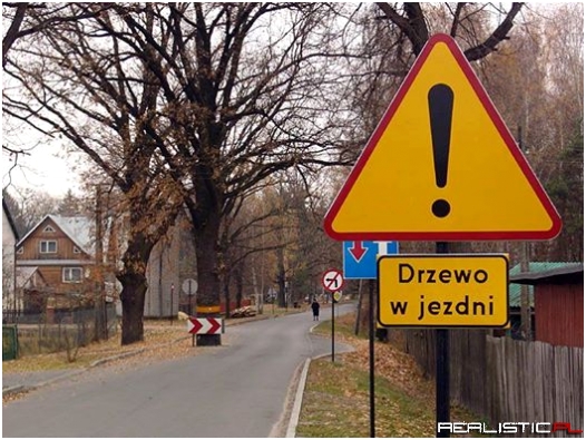 Uwaga, drzewo w jezdni