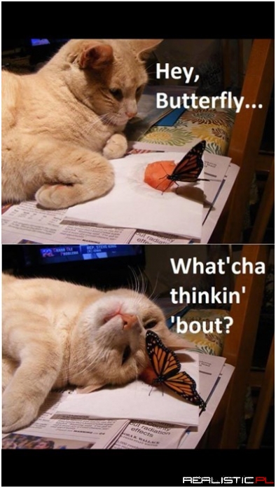 Wanna be Friends, er What