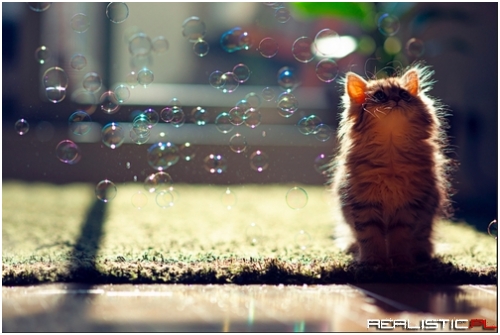 Wat iz Dem Floaty Fings