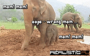 We All Did This in the Department Store as Kids