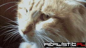 When You Wake Up After Drinking And See Yourself in The Mirror