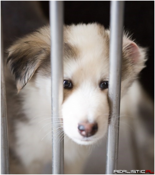 Will You Take Me Home