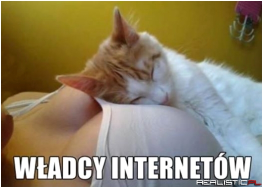 Władcy internetów