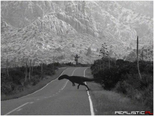 Wracasz do domu po pracy...