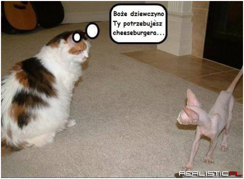 Wszędzie te wychudzone modelki