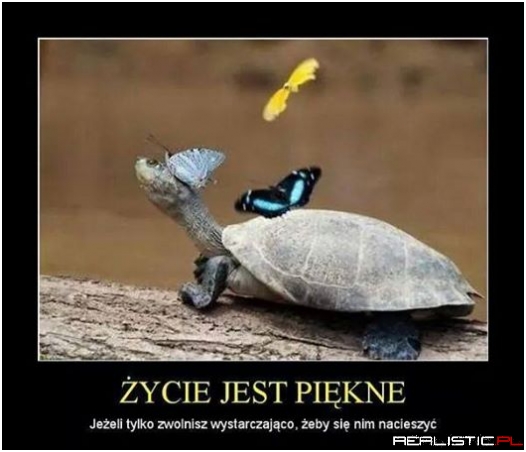 ycie jest piękne ..