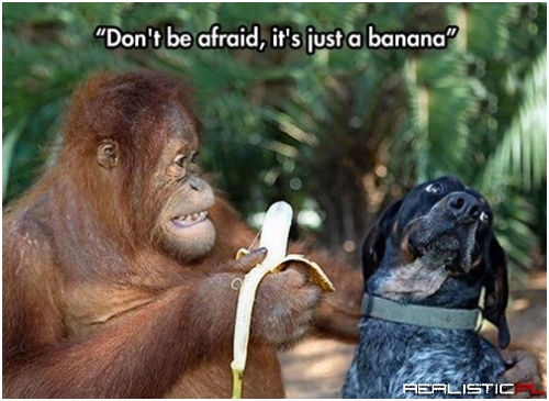 You Can't Make Me Eat it!