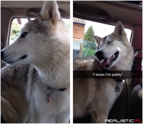 You Didn't Even Have to Say it