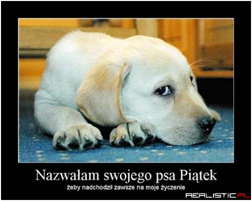 Zawsze na życzenie