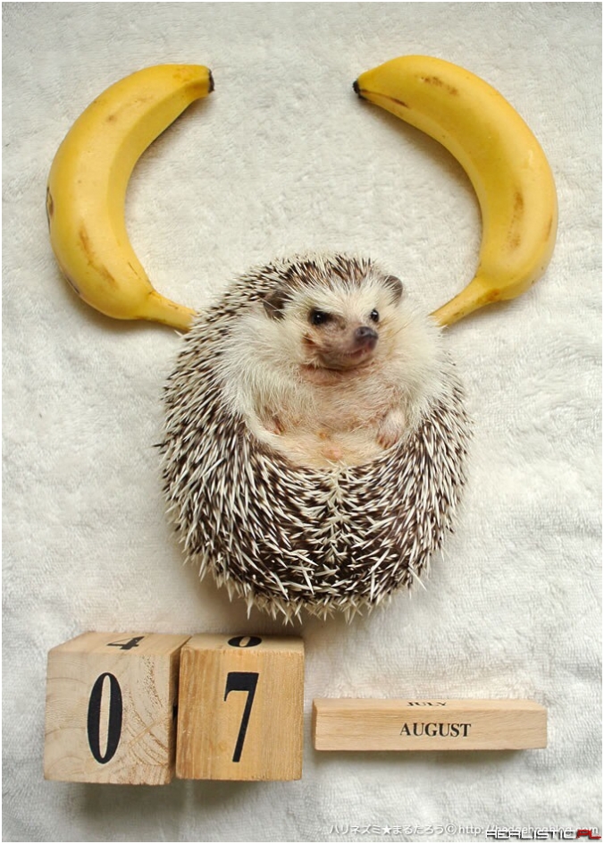 07 August