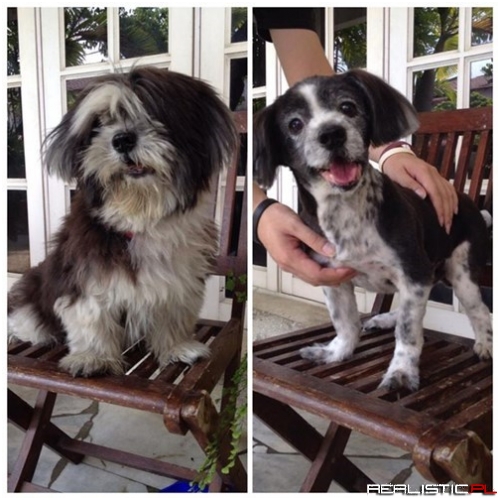 A Little Summer Trim