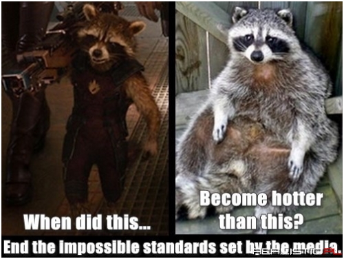 All Raccoons Are Beautiful