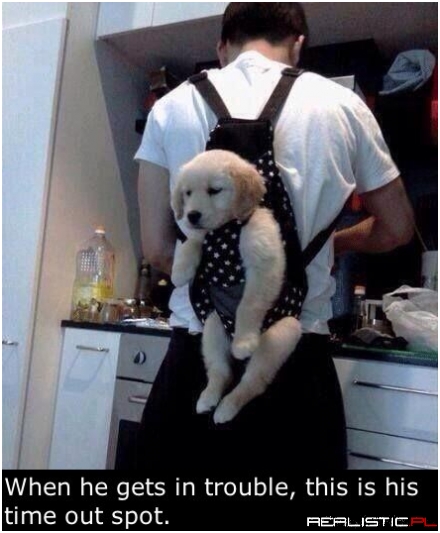 Another Use For That Baby Carrier