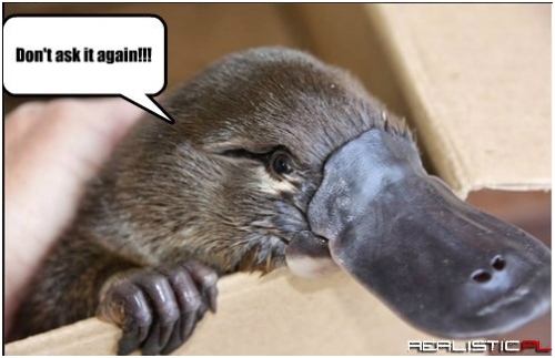 Are You a Duck or a Beaver