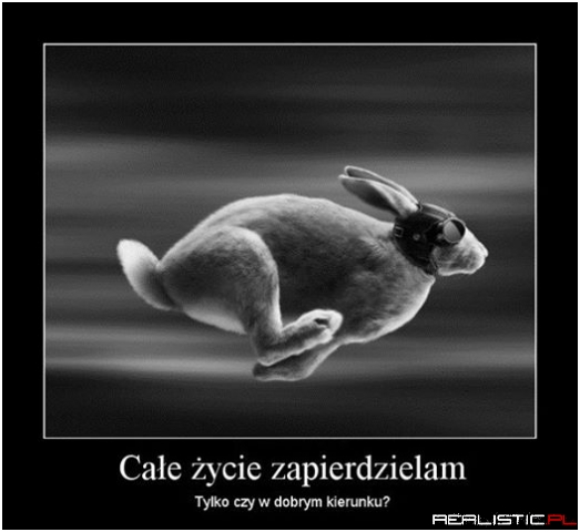 Całe życie ....