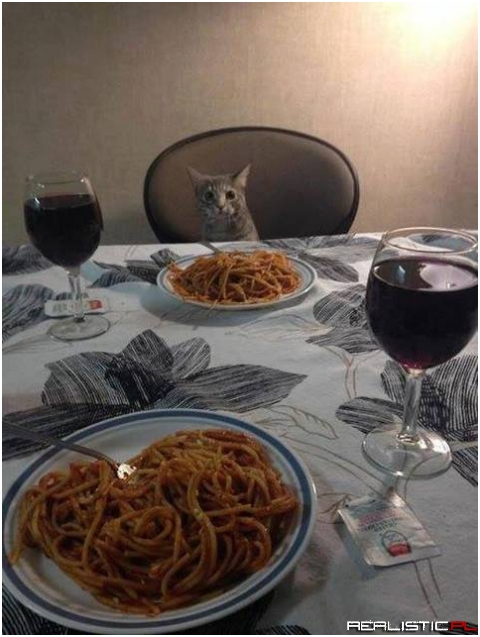 Dinner with your special one