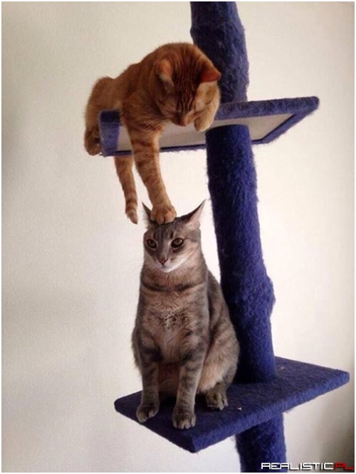 Do You Guys Feel That