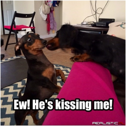 Even Dogs Don't Like Dog Breath