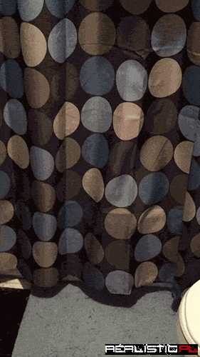 First Step in Bathing Your Cat